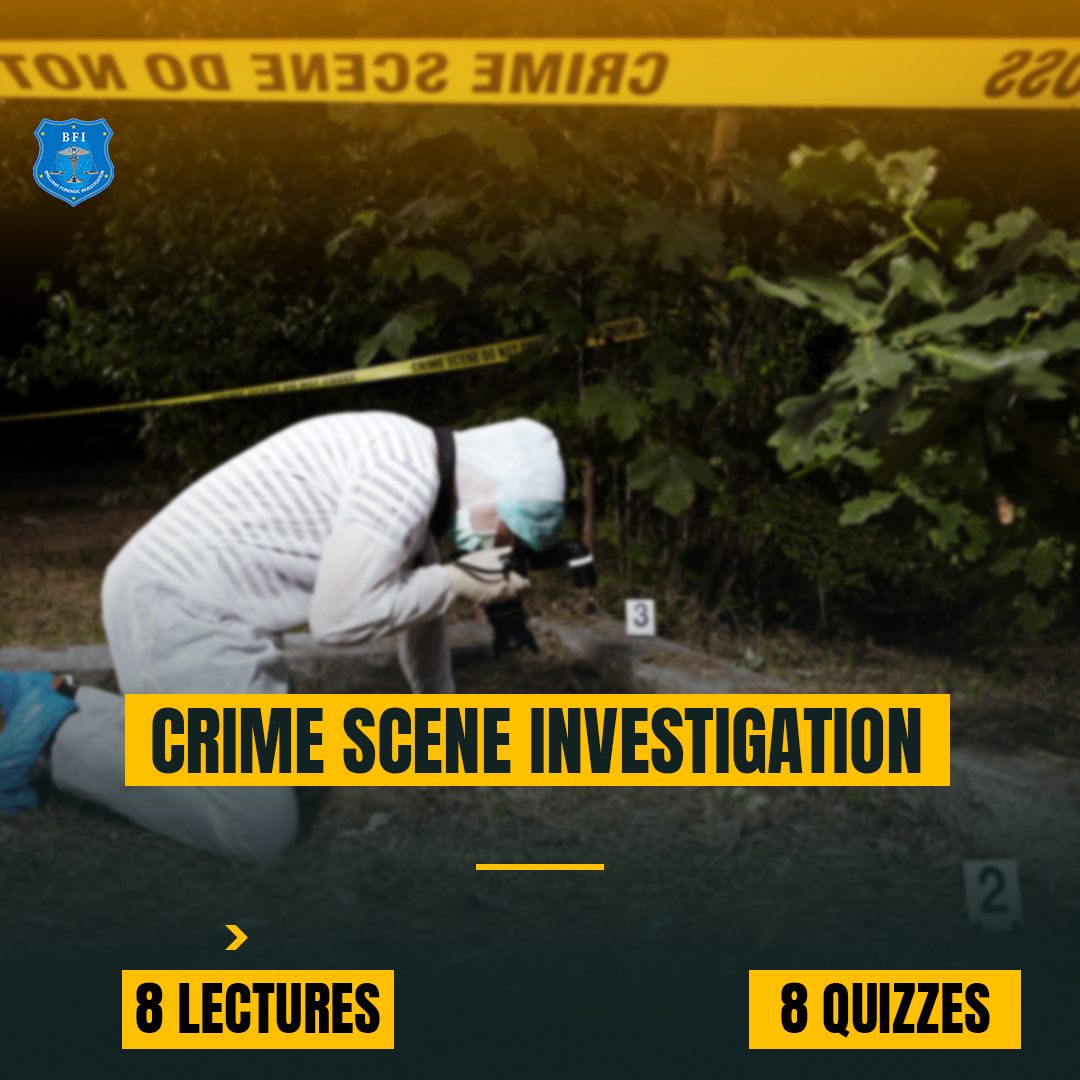 CRIME SCENE.jpg
